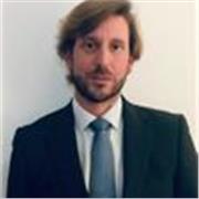 No soy profesor. Soy un profesional especializado IA.