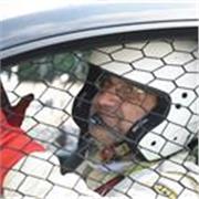 Come apprendere la lingua italiana divertendosi e in poco tempo 