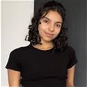 Profesor profesional de arte para niños, adolescente y adultos desde el ámbito teórico y práctico del conocimiento artístico