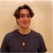 Laureando in Ingegneria Informatica - Offro lezioni di Matematica Fisica e Informatica Online