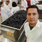 Ingeniero Agroindustrial estudiante de máster de Enologia especialista en bioquímica y microbiología