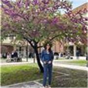 Neolaureata magistrale in ingegneria del veicolo, offro supporto per studio in matematica per studenti di tutte le età! 