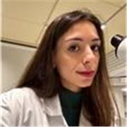 Offro servizio di aiuto compiti a bambini delle elementari.
online/presenza.