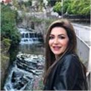 Informatica scolastica e universitaria: dai programmi Microsoft alla struttura del PC