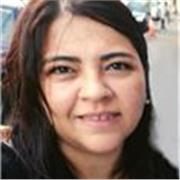 Profesor de enseñanza primaria, secundaria y niveles terciarios y adultos