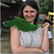 Experienced English Tutor in York