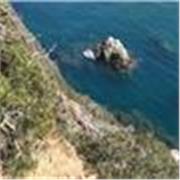 Ofrezco clases en línea de refuerzo en inglés y ciencias naturales para niños, además de clases de conversación en inglés y prepar