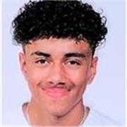 professeur particulier pour les 7-14ans dans le besoin en francais , anglais , histoire , svt