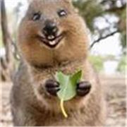 Ingegnere Chimico offre ripetizioni in Matematica, Chimica e Fisica