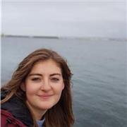 Profesor de cualquier asignatura para niños primaria y secundaria