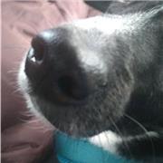 Emely