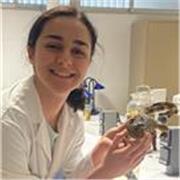 ¡Hola! Soy María, estudiante de tercero de Biología. 
Además, cuento con un nivel C1 de inglés acreditado por Cambridge