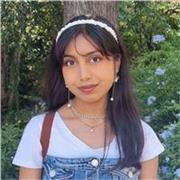 Maths and Physics tutor for GCSE and A-Level