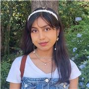 Maths and Physics tutor for GCSE and A-Level