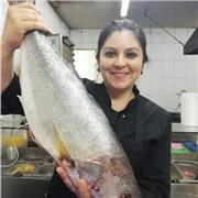 Profesor de cocina, especialidado en banqueteria,pasteleria,reposteria,manipulacion de alimentos