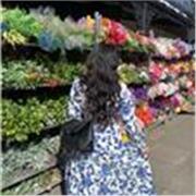 I have been speaking English since birth and am extremely fluent in this language. At the age of 10 I developed my vocabulary from the basic words to more higher level English completely independently.I have always been keen on individuals using the corre