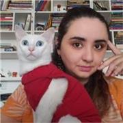 Online History e Art History Tutor with experience for 20 years