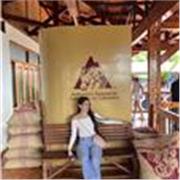 Cinco años de experiencia como docente en todos los grados académicos, refuerzos en matemáticas, biología, lectoescritura y demás