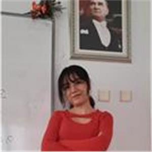 Aysu Basak Akin