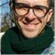 Profesor de matemáticas (analisis matematico, geometria, trigonometria, derivadas, limites, integrales)