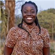 Amarachi Ugwu