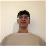 I am a dedicated and experienced tutor who is patient, supportive, and results-focused. My lessons are aimed at primary and second