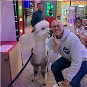 Se vuoi Imparare a capire e a farti capire in Inglese…. Let me know !