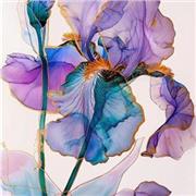Shirine Sawsen