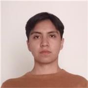 Profesor de físicay matemáticas a nivel preparatoria y universitario