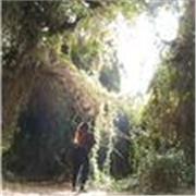 Profesora de cuidado personal y tratamientos para nutrir, regenerar y fortalecer la piel y el cabello 