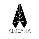 Alocasia