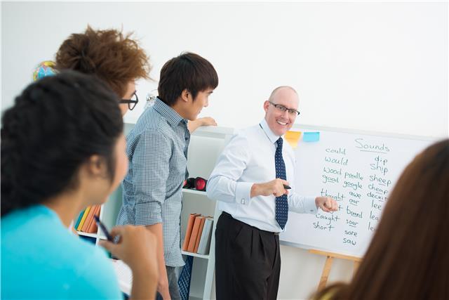 Native Professional Teachers