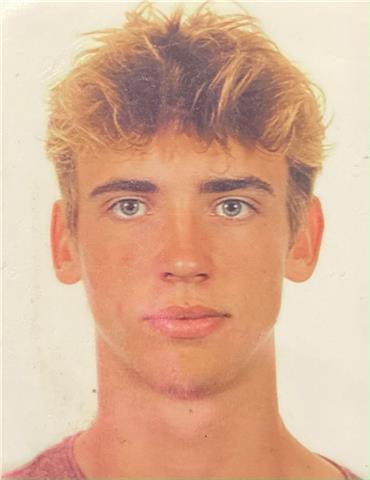 Doy clases online de ingles y francés todos los niveles