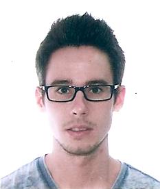 Profesor de Inglés Nativo