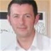 Profesor Nativo y con Experiencia