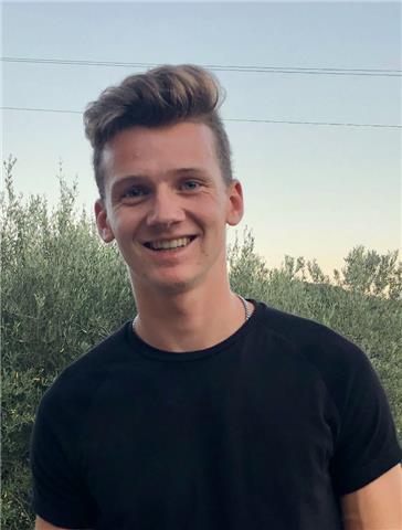 studente del liceo scientifico offre lezioni a distanza per elementari, medie e primi 2 anni del liceo