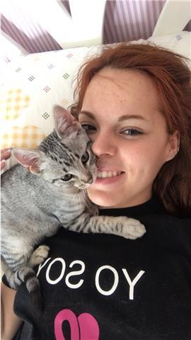 Doy clases particulares de música y refuerzo de diversas materias hasta bachillerato