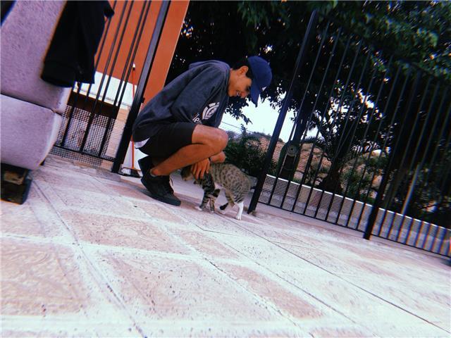 Doy clases de matemáticas y economía de primaria, eso y bachillerato