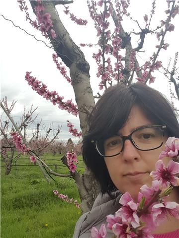 Interprete traduttrice 20 anni d'esperienza