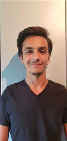 Ripetizioni di inglese per ragazzi di scuole medie e superiori a Mantova e periferia limitrofa, diploma Liceo Linguistico con certificazione lingua Inglese First livello C1 (184/190)