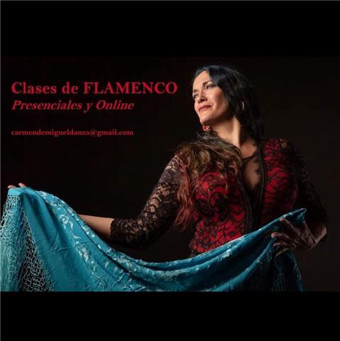 Bailaora profesional de Flamenco ofrece clases para todas edades y niveles con método original, lúdico y ameno