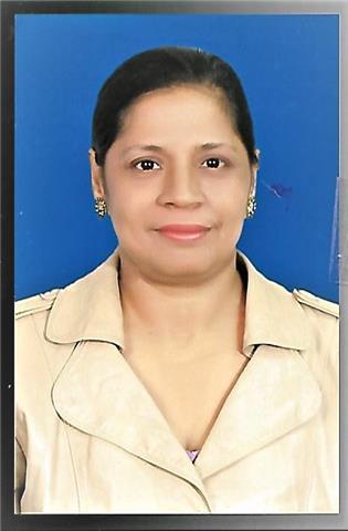 Clases particulares virtuales de matemáticas para estudiantes de 6 a 11 grado