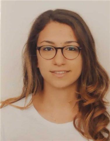 Laureata in ingegneria offro ripetizioni per ragazzi o universitari con tavoletta grafica e condivisione dello schermo