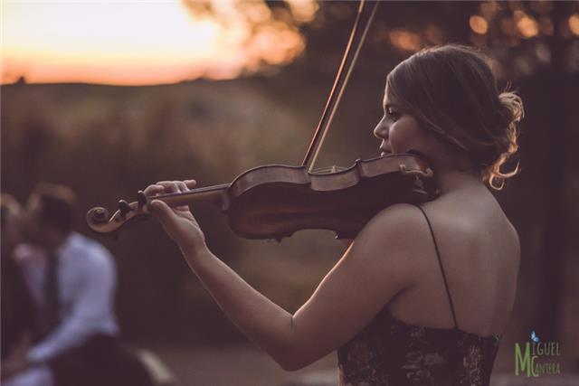 Profesora de violin con Titulacion Superior oferta clases a domicilio