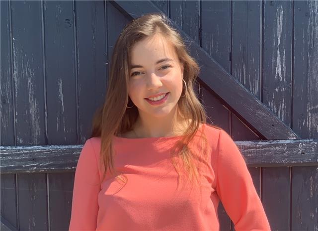 Titulaire d'un bac ES Mention Bien, c'est avec plaisir que je donnerais des cours de primaire / collège / lycée en français !