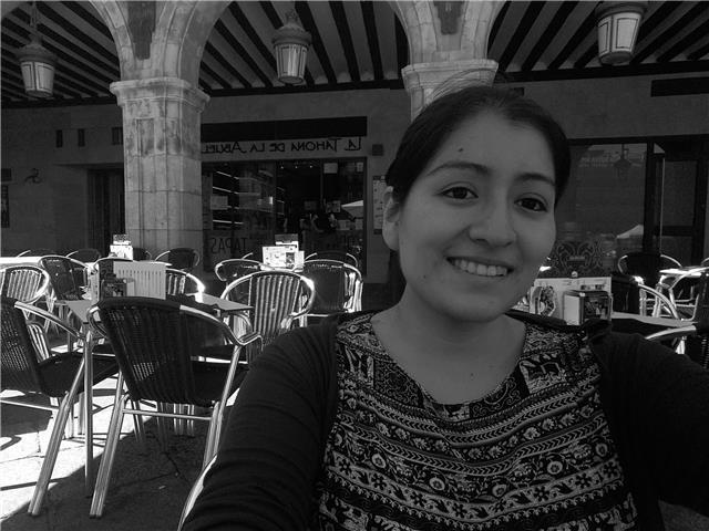 Inglés : cambridge, toefl, eoi / apoyo