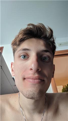 Ragazzo Laureando offre lezioni di matematica, inglese,italiano,storia,geografia,scienze per elementari,medie