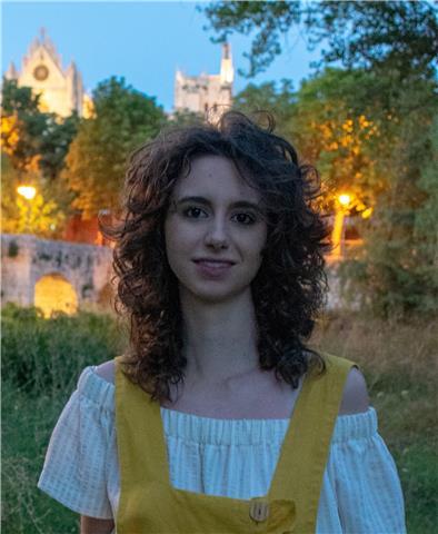 Inglés / francés / alemán - experiencia – titulación – presencial / online