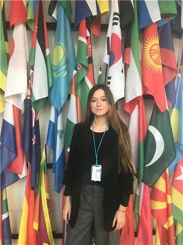 Ofrezco clases particulares de asignaturas de humanidades (historia del arte, entre otros)