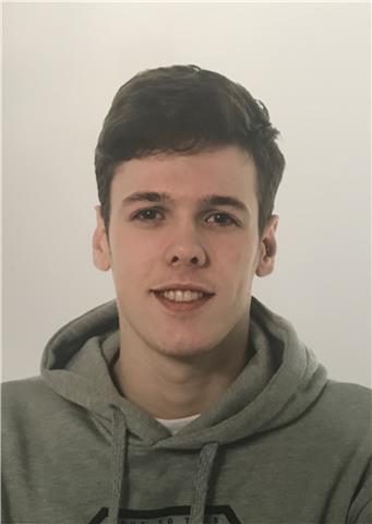 Estudiante con nivel cae y experiencia en el extranjero se ofrece para dar clases de conversación, writings, grammar y listening